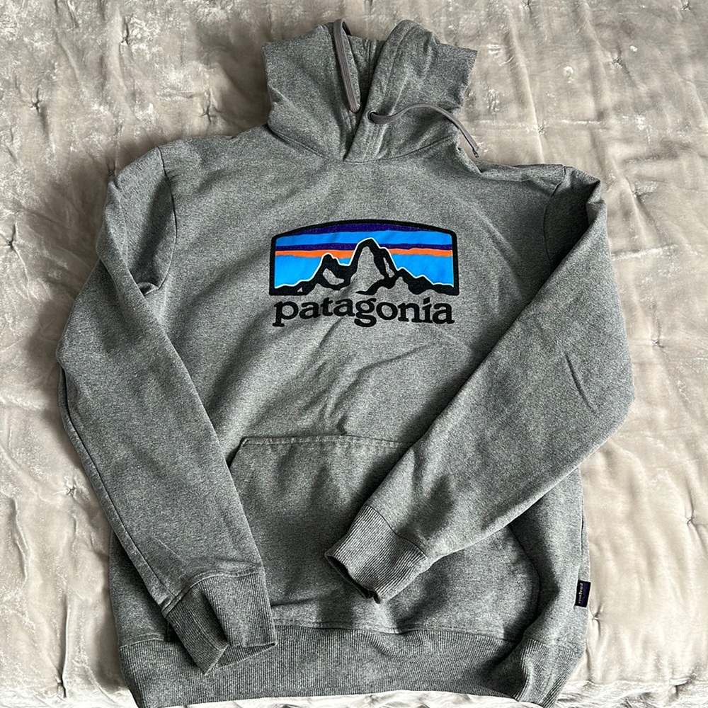 Patagonia hoodie